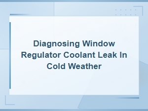 Diagnosing Window Regulator Coolant Leak in Cold Weather