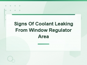 Coolant Leaking From Window Regulator Area: Signs and Causes