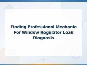 Finding Professional Mechanic for Window Regulator Leak Diagnosis